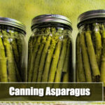 Canning Asparagus