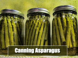 Canning Asparagus