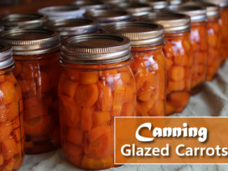 Canning Glazed Carrots Recipe