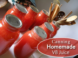 Canning Homemade V8 Juice