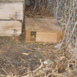 DIY Magical Mouse Box