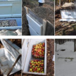 DIY Old Fridge Root Cellar