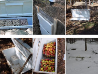 DIY Old Fridge Root Cellar