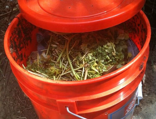 DIY Plastic Bucket Compost Bin