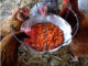DIY Swinging Treat Holder for Chickens