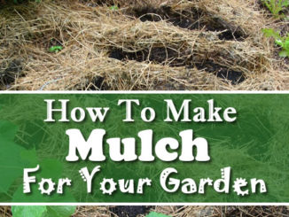 How To Make Mulch