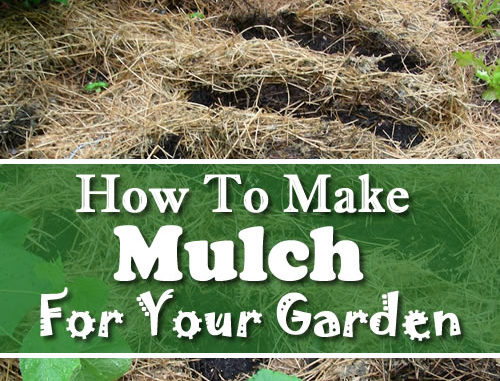 How To Make Mulch