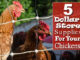 5 Dollar Store Supplies For Your Chickens