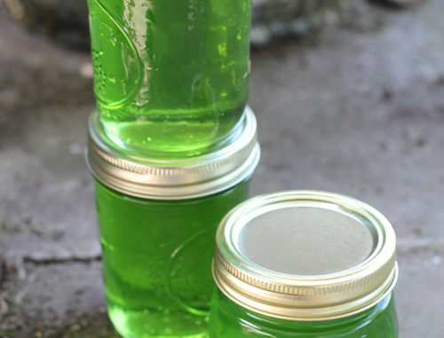 Canning Mint Jelly Recipe