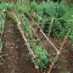 DIY Angled Tomato Rails