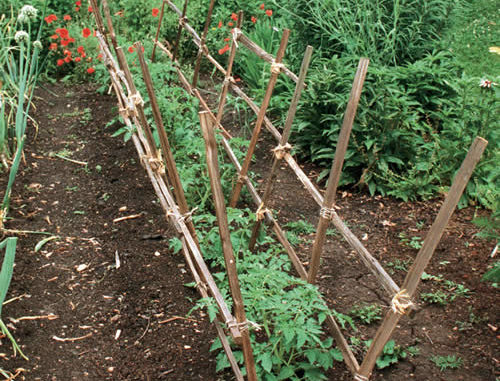 DIY Angled Tomato Rails