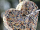 DIY Birdseed Cakes