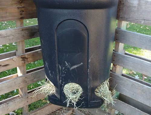 DIY Garbage Can Goat Feeder