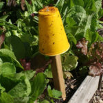 DIY Garden Sticky Traps
