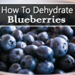 How To Dehydrate Blueberries