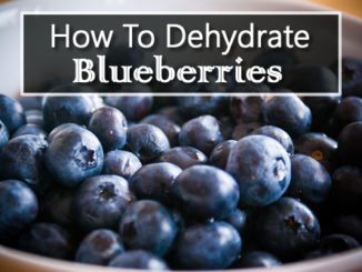 How To Dehydrate Blueberries