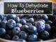 How To Dehydrate Blueberries