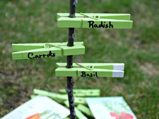 DIY Clothespin Plant Markers