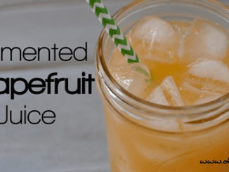 Fermented Grapefruit Juice