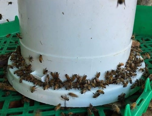 DIY Bucket Feeder For Bees