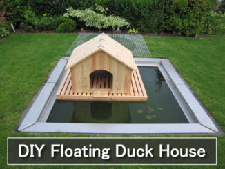 DIY Floating Duck House