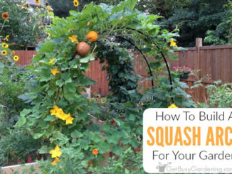 How To Build A Squash Arch