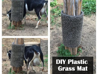 DIY Plastic Grass Mat Scratching Post