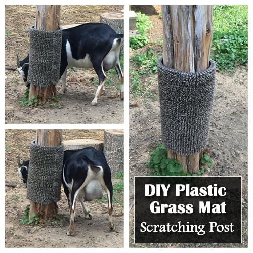 DIY Plastic Grass Mat Scratching Post