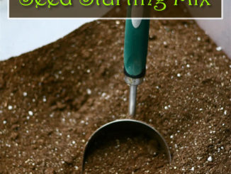How To Make Your Own Seed Starting Mix
