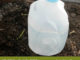 DIY Self Watering Milk Jugs