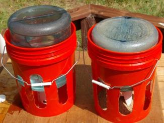 DIY Water Jug Chicken Feeders