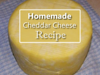 Homemade Cheddar Cheese Recipe
