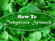 How To Dehydrate Spinach