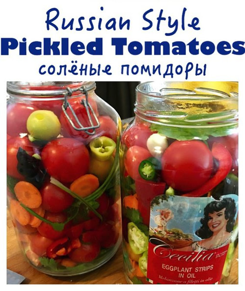 Russian Style Pickled Tomatoes Recipe
