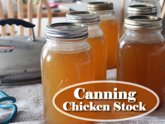 Canning Chicken Stock Recipe