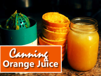 Canning Fresh Orange Juice