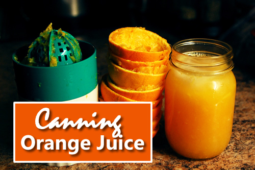 Canning Fresh Orange Juice