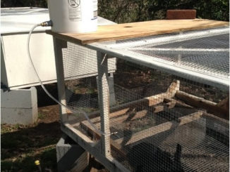 DIY 5 Gallon Rabbit Waterer