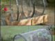 DIY Compost Sifter
