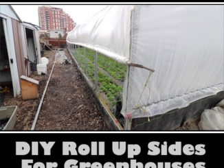 DIY Roll Up Sides For Greenhouses