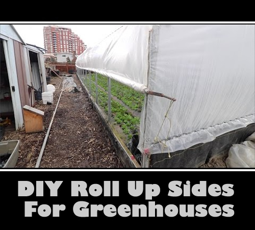 DIY Roll Up Sides For Greenhouses