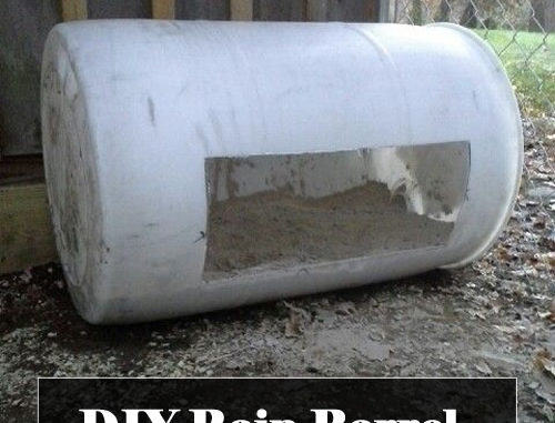 DIY Rain Barrel Chicken Dust Bath