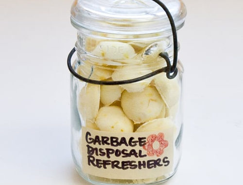 Homemade Garbage Disposal Refreshers