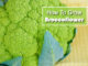 How To Grow Broccoflower