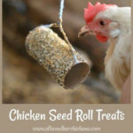 DIY Chicken Seed Roll Treats