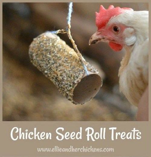 DIY Chicken Seed Roll Treats