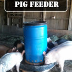 DIY Tire & Barrel Pig Feeder