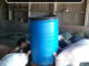 DIY Tire & Barrel Pig Feeder