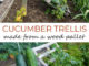 DIY Wood Pallet Cucumber Trellis
