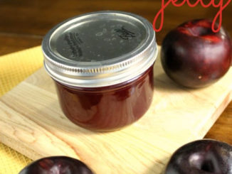 Homemade Plum Jelly Recipe